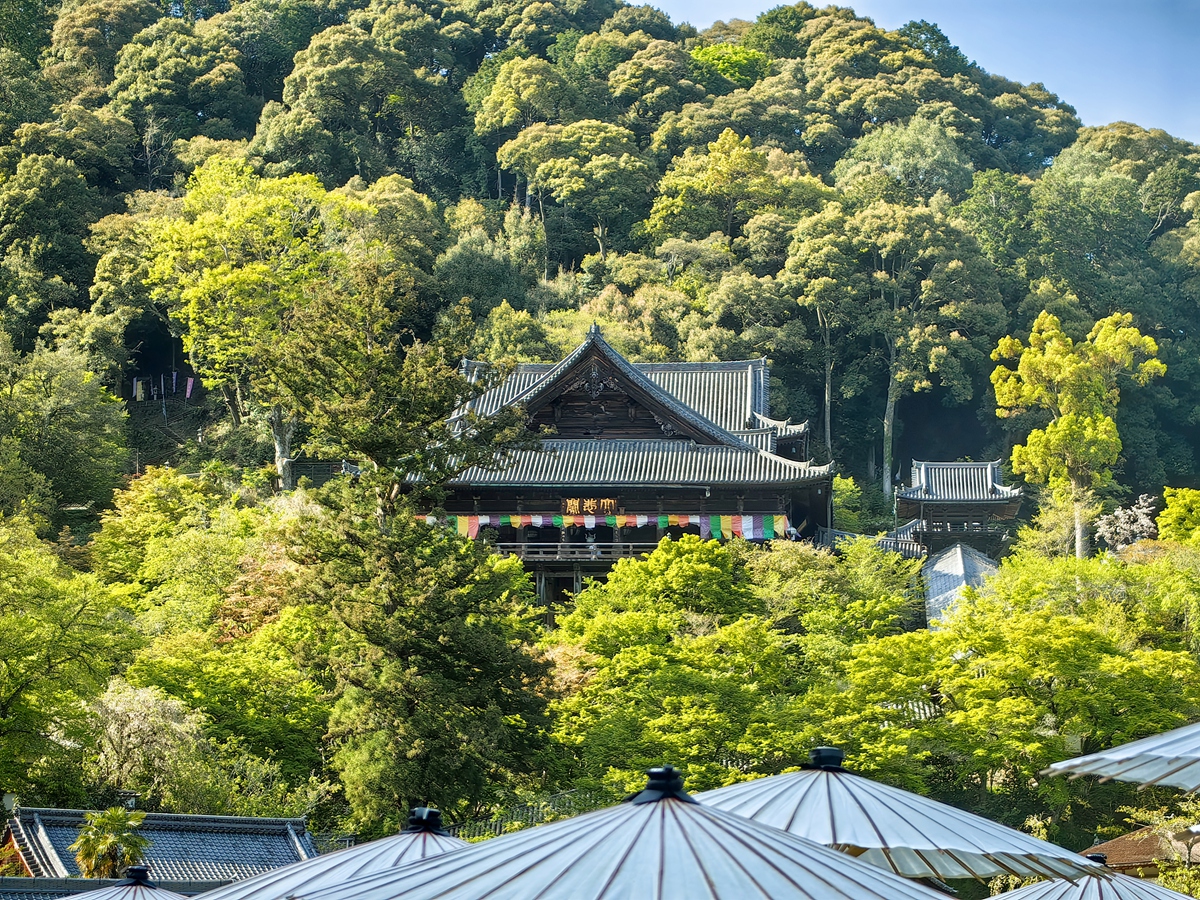 第八番 豐山 長谷寺